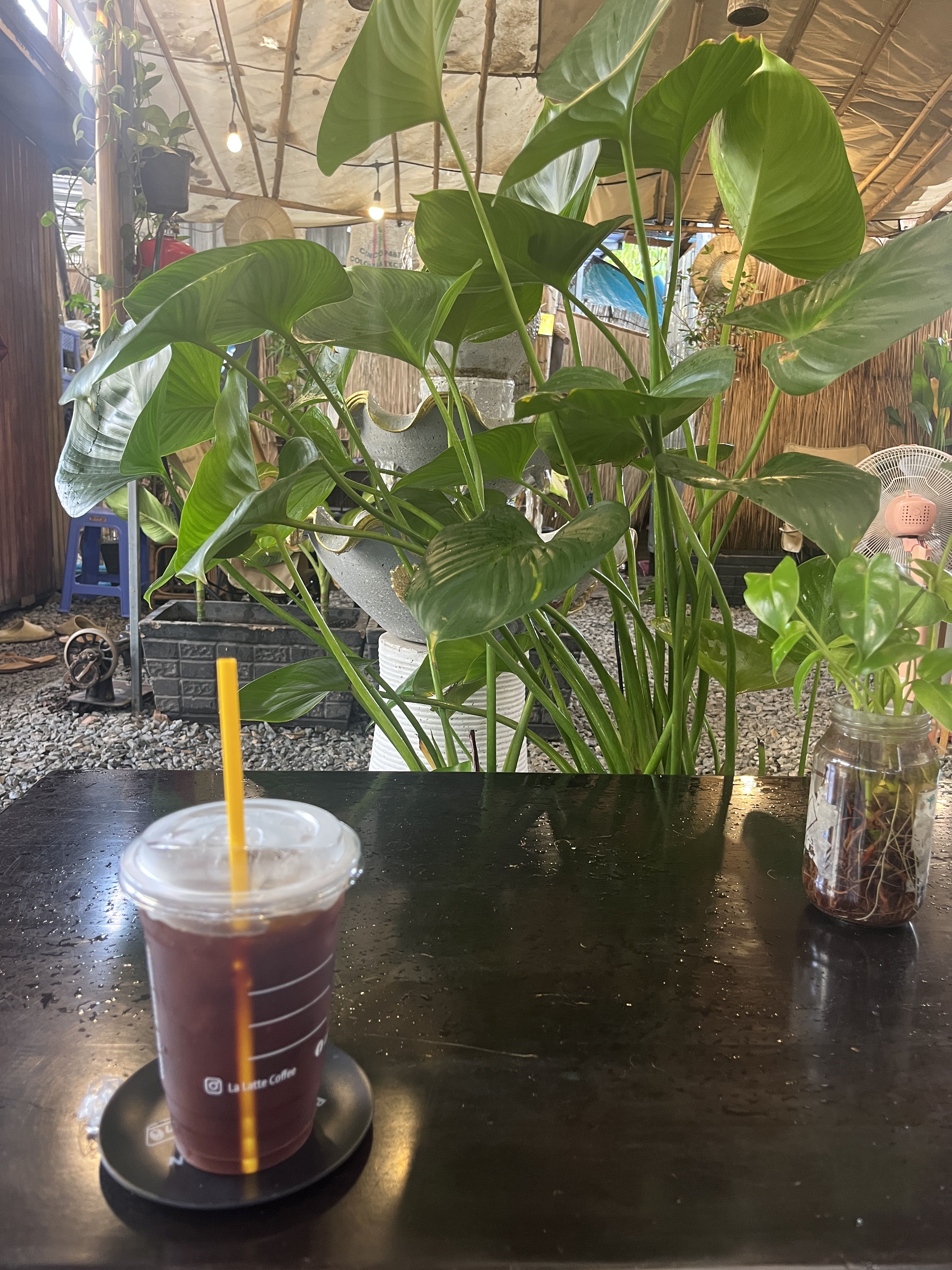 lalatte